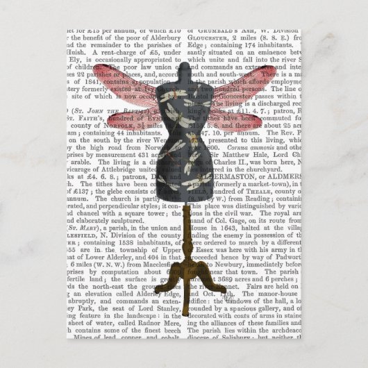 Dragonfly Mannequin Briefkaart (Voorkant)