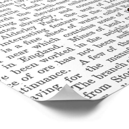 Dragonfly Mannequin Poster (Hoek)