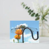 Dragonfly Marigold Sky Foto Briefkaart (Staand voorkant)