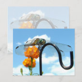 Dragonfly Marigold Sky Foto Briefkaart (Voorkant / Achterkant)