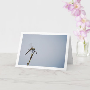 Dragonfly met rietstok kaart