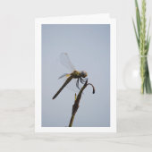 Dragonfly met rietstok kaart (Voorkant)