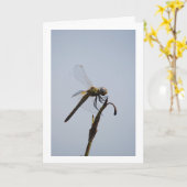 Dragonfly met rietstok kaart (Gele Bloem)