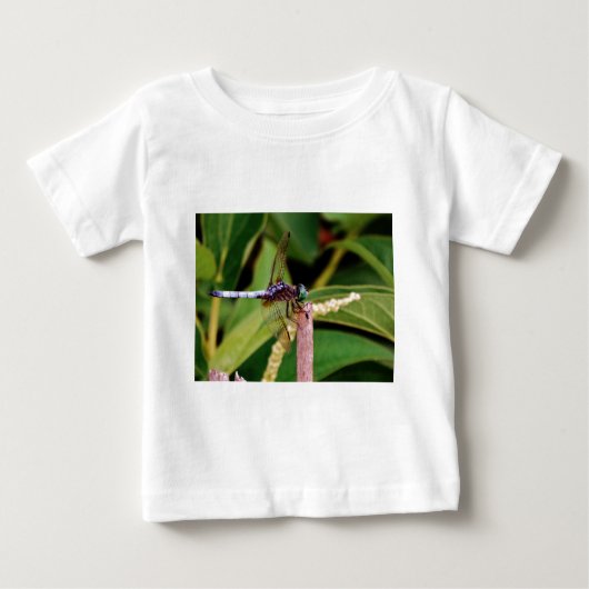 Dragonfly met witte bloemen (Voorkant)