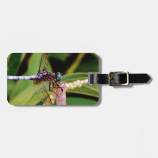 Dragonfly met witte bloemen bagagelabel