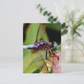 Dragonfly met witte bloemen briefkaart (Staand voorkant)
