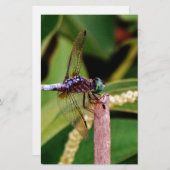 Dragonfly met witte bloemen briefpapier (Voorkant / Achterkant)