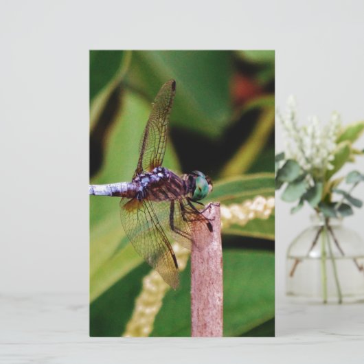 Dragonfly met witte bloemen briefpapier (Staand voorkant)
