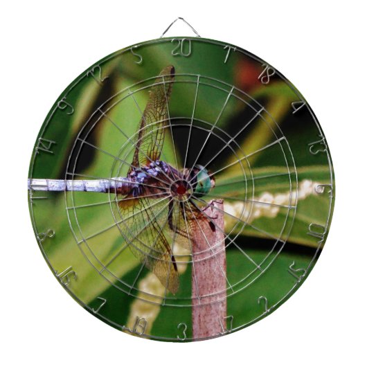 Dragonfly met witte bloemen dartbord (Voorkant)