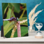Dragonfly met witte bloemen fotoplaat (Zijkant)
