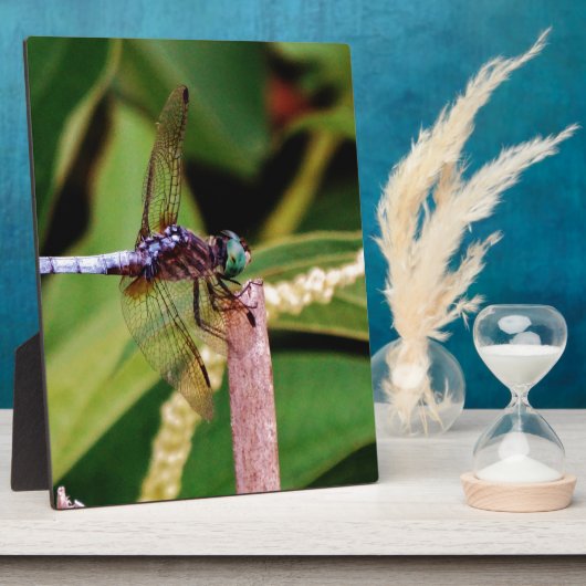 Dragonfly met witte bloemen fotoplaat (Zijkant)