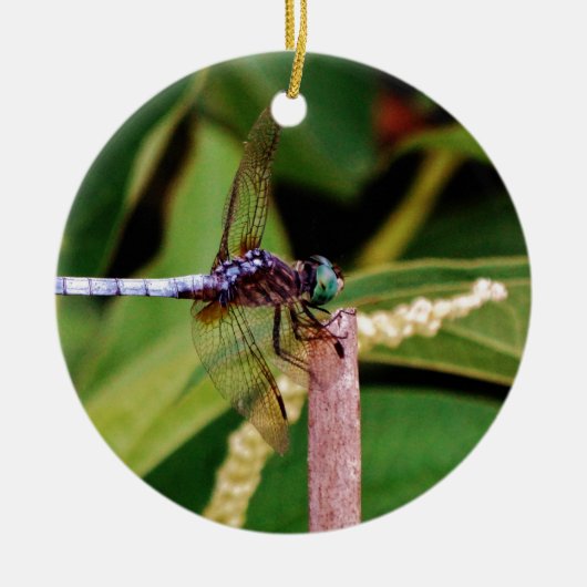 Dragonfly met witte bloemen keramisch ornament (Voorkant)