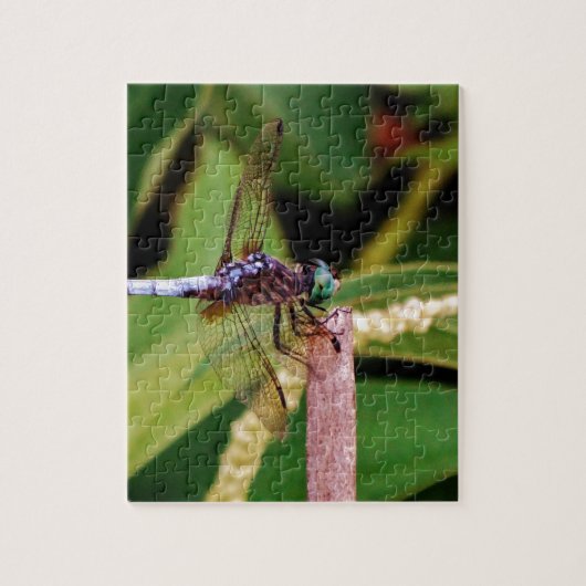 Dragonfly met witte bloemen legpuzzel (Verticaal)
