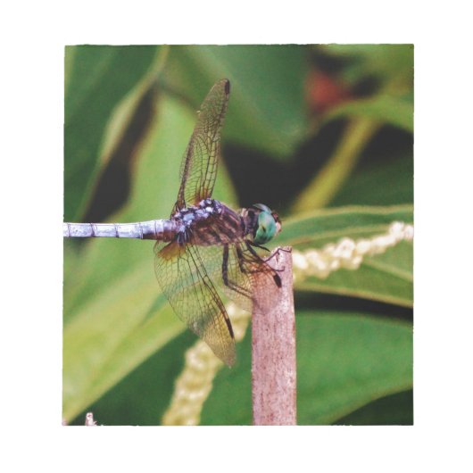 Dragonfly met witte bloemen notitieblok (Voorkant)