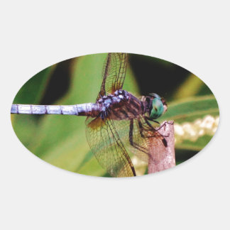 Dragonfly met witte bloemen ovale sticker