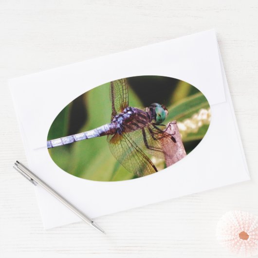 Dragonfly met witte bloemen ovale sticker (Envelop)