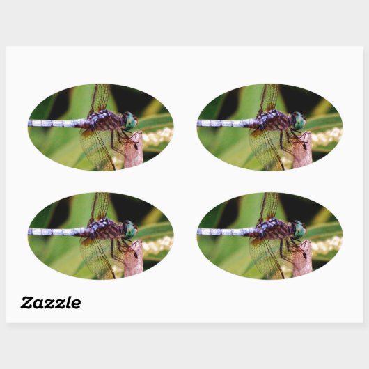 Dragonfly met witte bloemen ovale sticker (Vel)