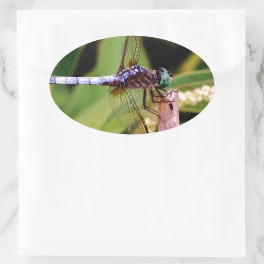 Dragonfly met witte bloemen ovale sticker (Tas)