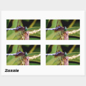 Dragonfly met witte bloemen rechthoekige sticker (Vel)