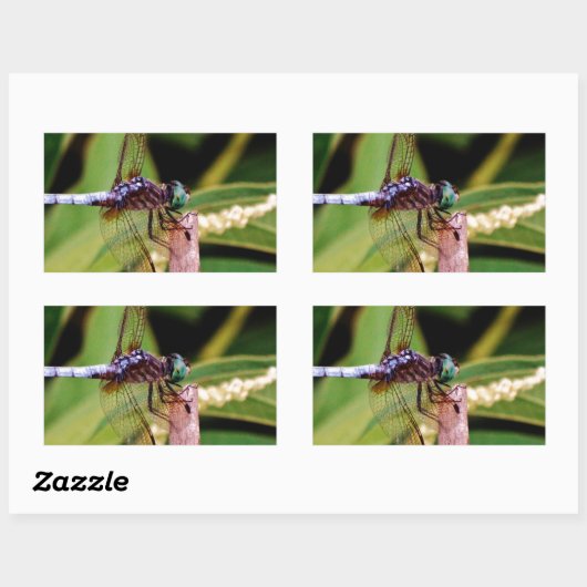 Dragonfly met witte bloemen rechthoekige sticker (Vel)