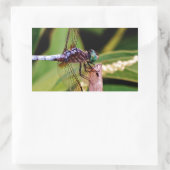 Dragonfly met witte bloemen rechthoekige sticker (Tas)