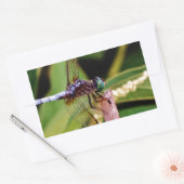 Dragonfly met witte bloemen rechthoekige sticker (Envelop)