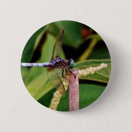 Dragonfly met witte bloemen ronde button 5,7 cm (Voorkant)