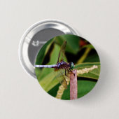 Dragonfly met witte bloemen ronde button 5,7 cm (Voorkant /achterkant)