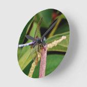 Dragonfly met witte bloemen ronde klok (Hoek)