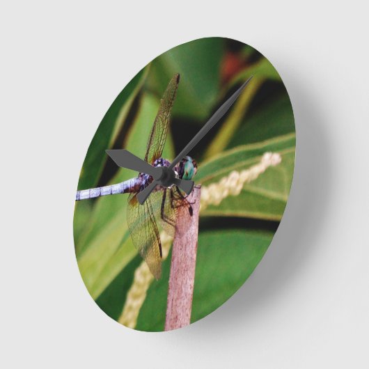 Dragonfly met witte bloemen ronde klok (Hoek)