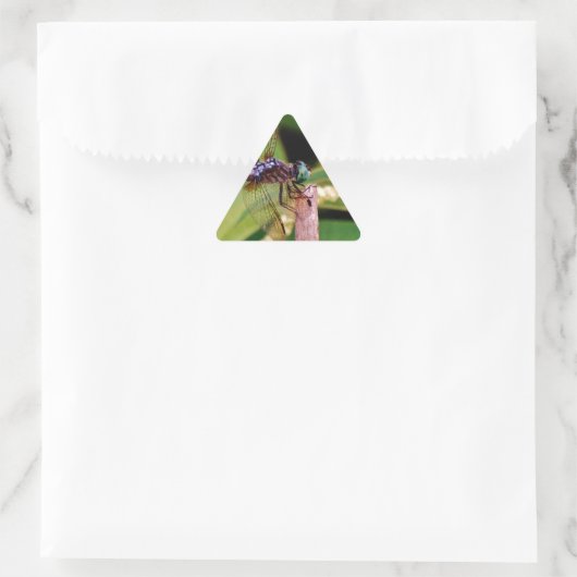 Dragonfly met witte bloemen sticker (Tas)