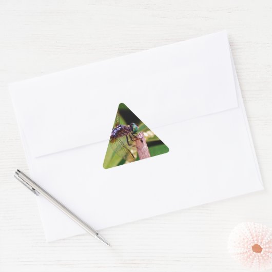 Dragonfly met witte bloemen sticker (Envelop)