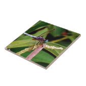 Dragonfly met witte bloemen tegeltje (Zijkant)