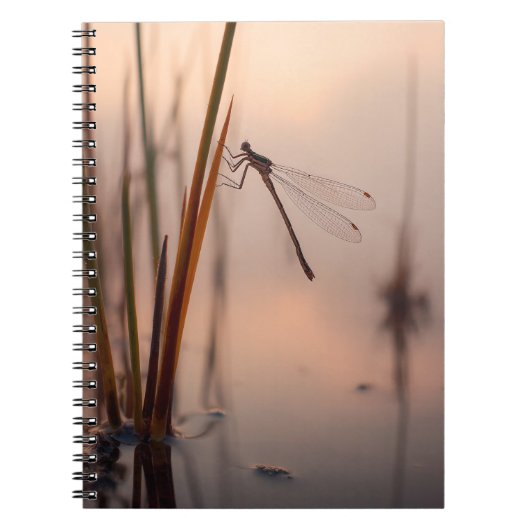 Dragonfly Misty Dawn Notitieboek (Voorkant)