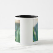 Dragonfly Mok (Midden)