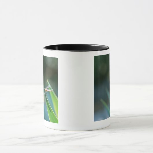 Dragonfly Mok (Midden)