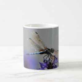 DragonFly Mok