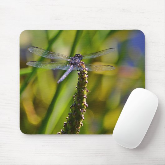 Dragonfly Mousepad Muismat (Met muis)