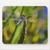 Dragonfly Mousepad Muismat (Voorkant)