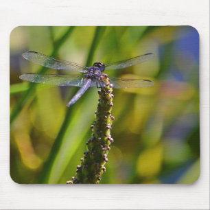 Dragonfly Mousepad Muismat