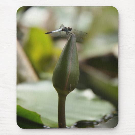 Dragonfly Mousepad Muismat (Voorkant)