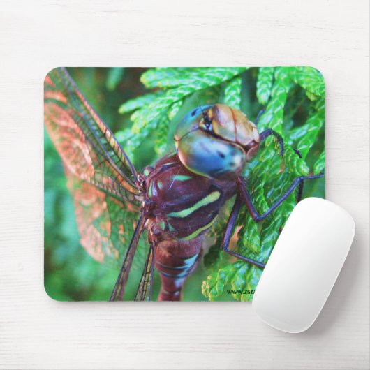 Dragonfly mousepad-ontwerp muismat (Met muis)