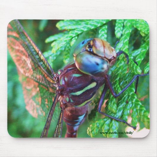 Dragonfly mousepad-ontwerp muismat (Voorkant)
