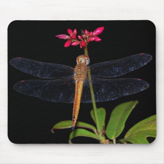 DragonFly Muismat (Voorkant)
