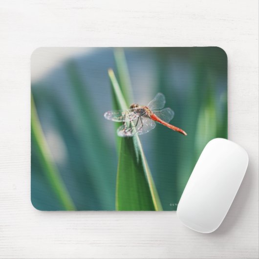 Dragonfly Muismat (Met muis)