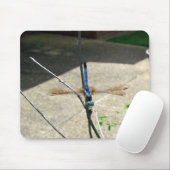 Dragonfly Muismat (Met muis)