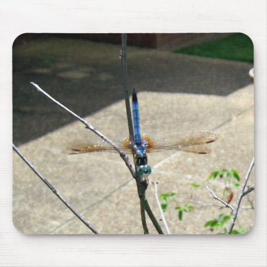 Dragonfly Muismat (Voorkant)