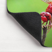 Dragonfly Muismat groen en rood (Hoek)