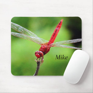 Dragonfly Muismat groen en rood