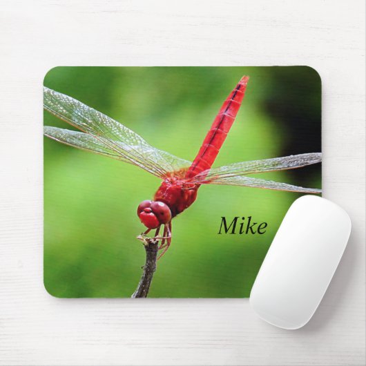 Dragonfly Muismat groen en rood (Met muis)